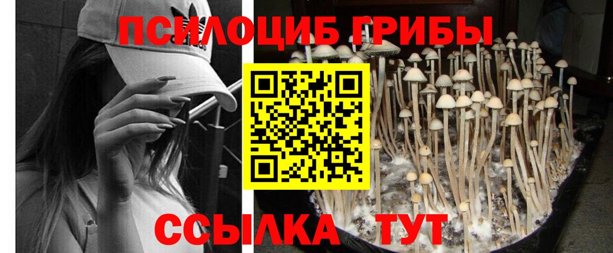 Галлюциногенные грибы Казань