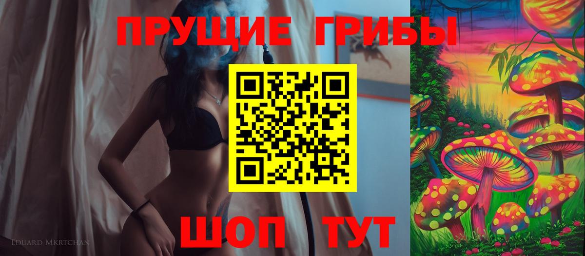Псилоцибиновые грибы MAGIC MUSHROOMS  Вход с VPN  Казань  Псилоцибиновые грибы Psilocybine cubensis 